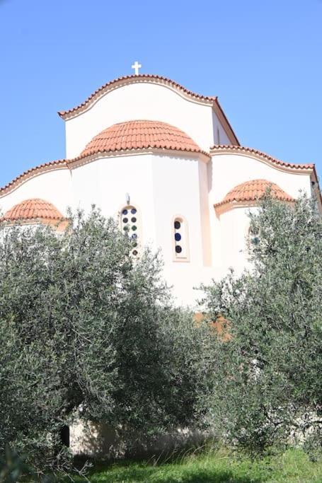 Anezina Cretan Hospitality Hébergement de vacances Héraklion